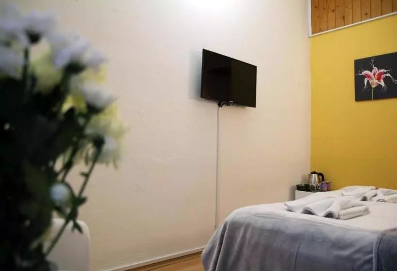 ペンション Penzion Alfa Poděbrady