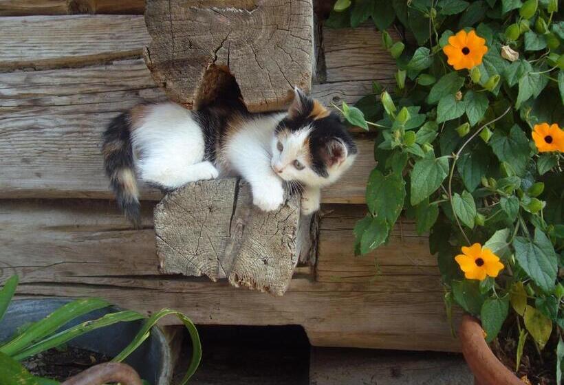 ホテル Hattlerhof