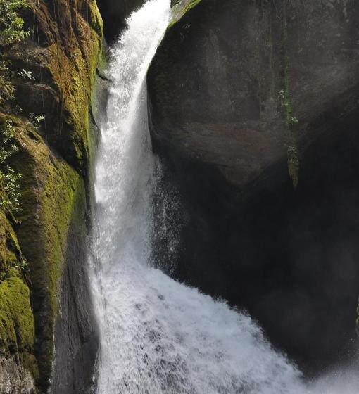 Отель Sueños Del Bosque Lodge
