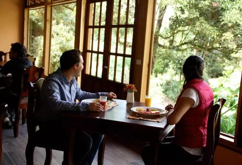 Hotelli Sueños Del Bosque Lodge