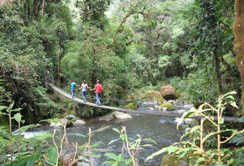 Отель Sueños Del Bosque Lodge
