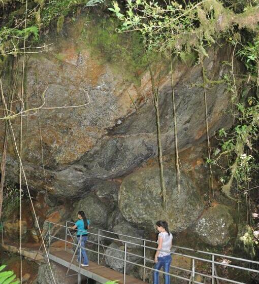 Отель Sueños Del Bosque Lodge