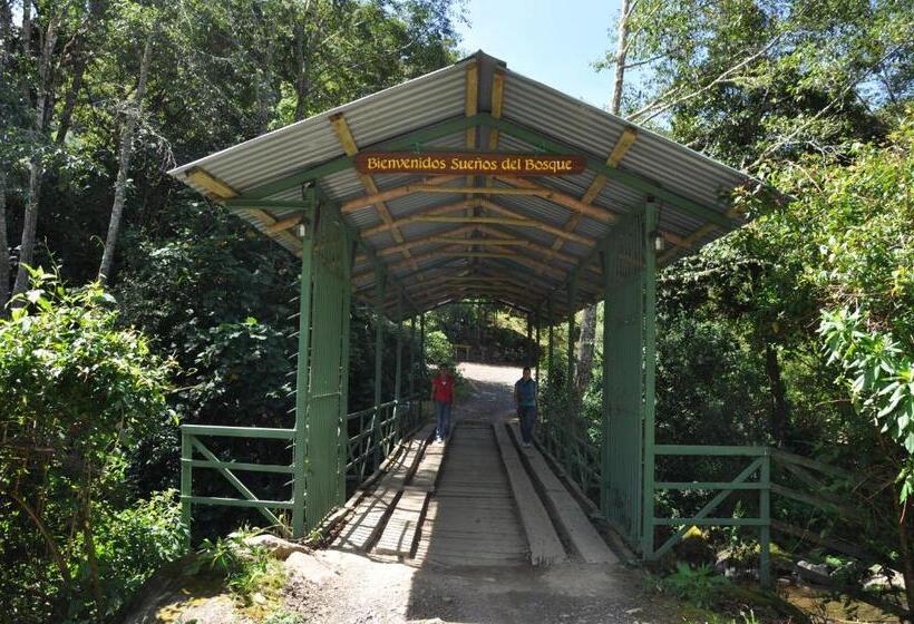 Отель Sueños Del Bosque Lodge