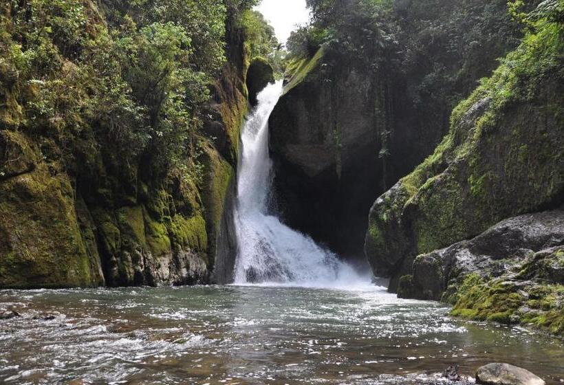 Отель Sueños Del Bosque Lodge