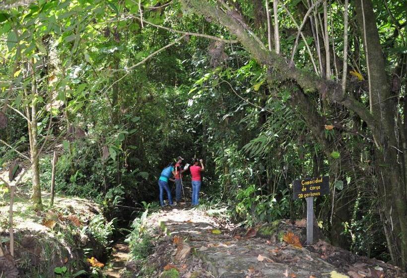 Отель Sueños Del Bosque Lodge