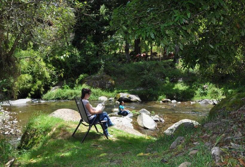 Отель Sueños Del Bosque Lodge