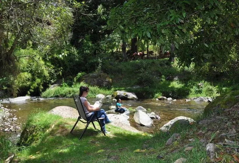 Hotelli Sueños Del Bosque Lodge