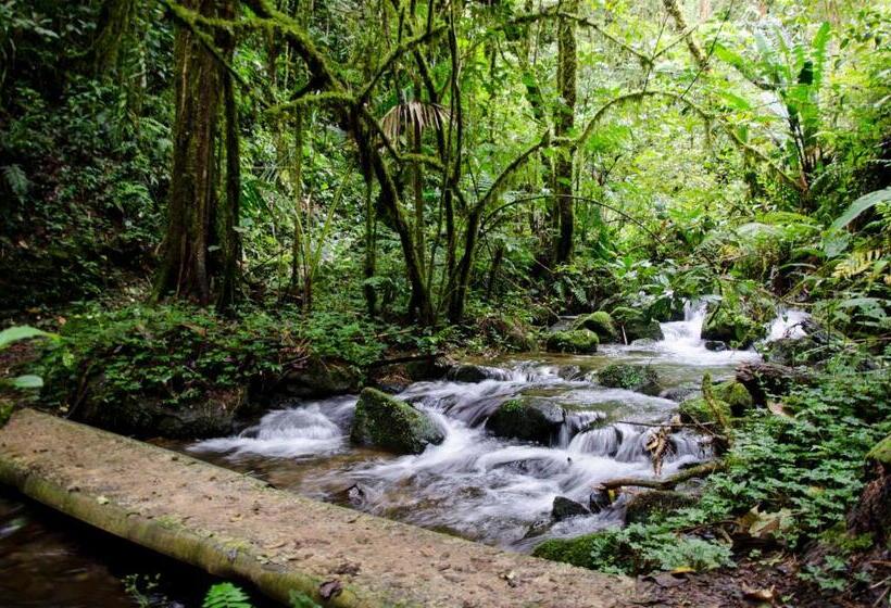 Отель Sueños Del Bosque Lodge