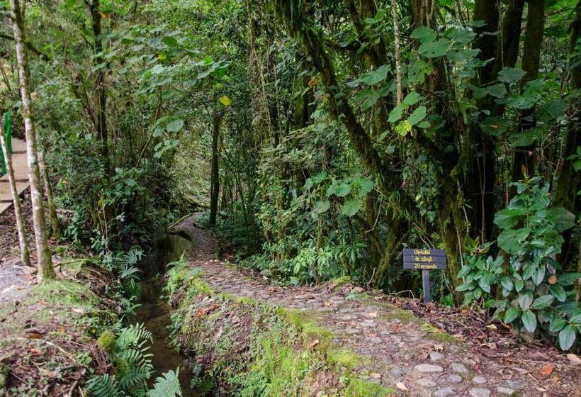 Отель Sueños Del Bosque Lodge