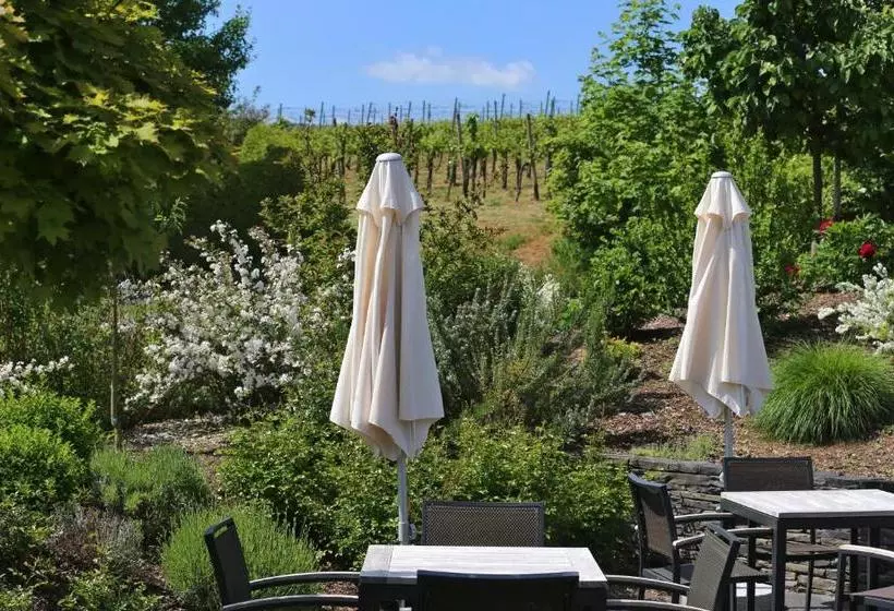 ペンション Ernst Clüsserath Weingut & Weinhotelchen
