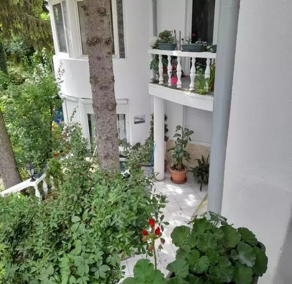 ペンション Fehér Hintó