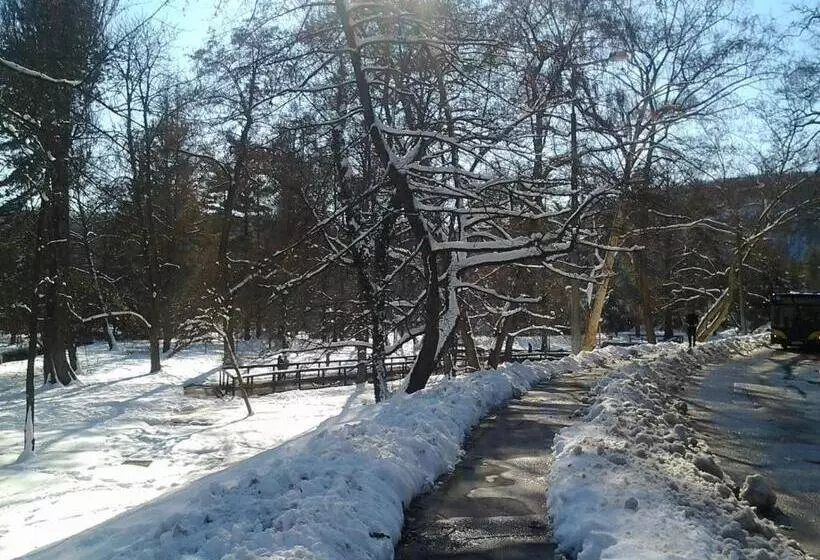 ペンション Fehér Hintó