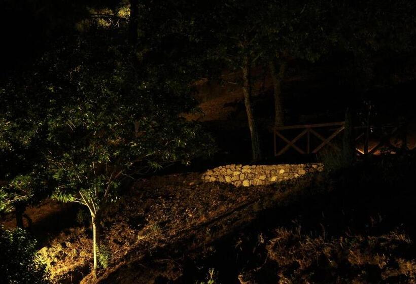 فندق صغير Camping Lamego Douro Valley