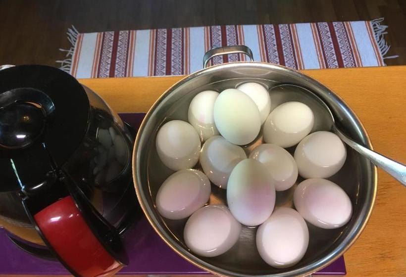 호스텔 Grums Old House