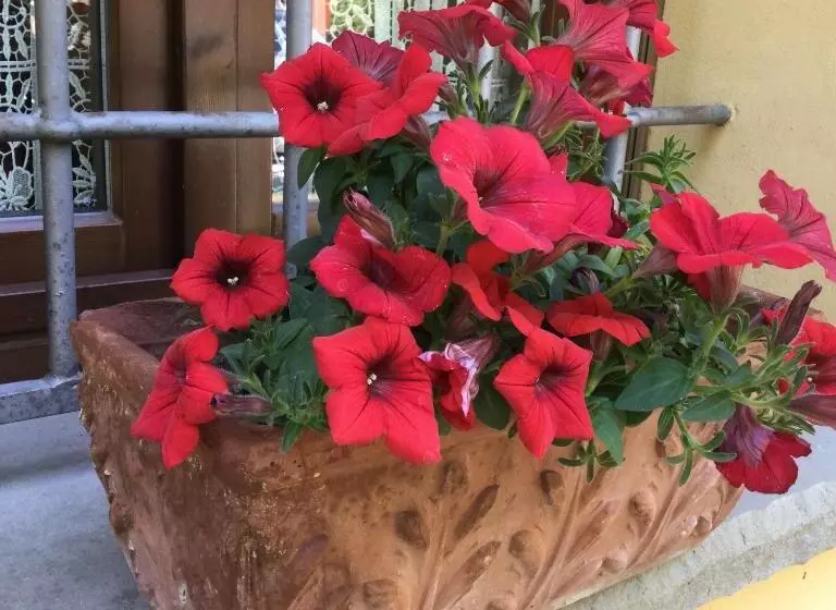 ホテル Agriturismo Flabeto