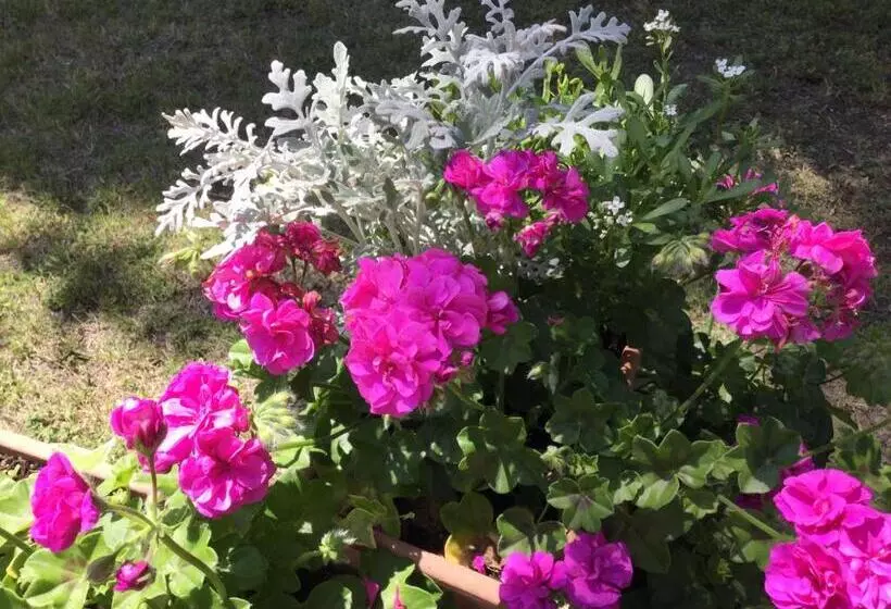 ホテル Agriturismo Flabeto