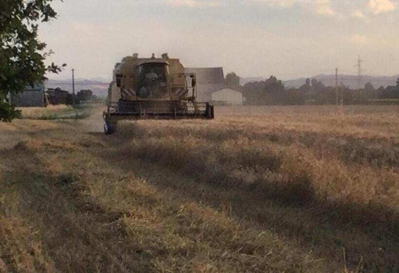 בית מלון כפרי Agriturismo Flabeto