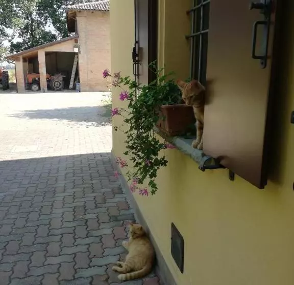 ホテル Agriturismo Flabeto