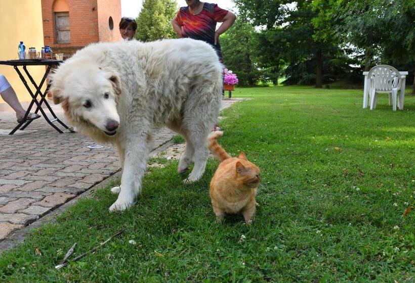 בית מלון כפרי Agriturismo Flabeto