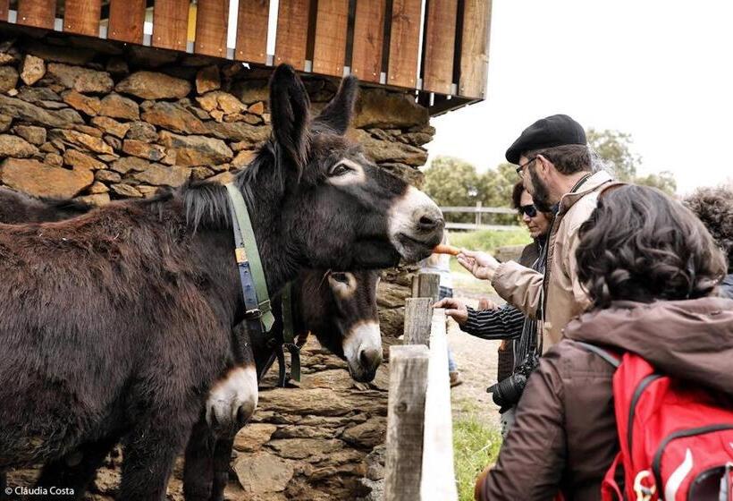 فندق Curral De L Tiu Pino
