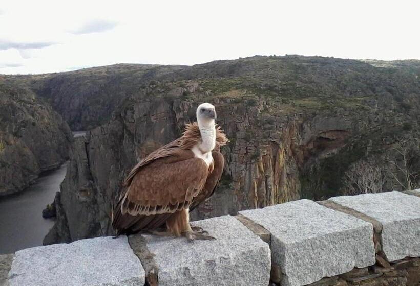 فندق Curral De L Tiu Pino