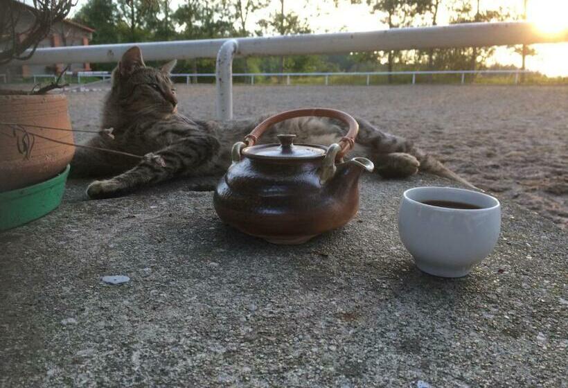 هتل Penzion Hradisko