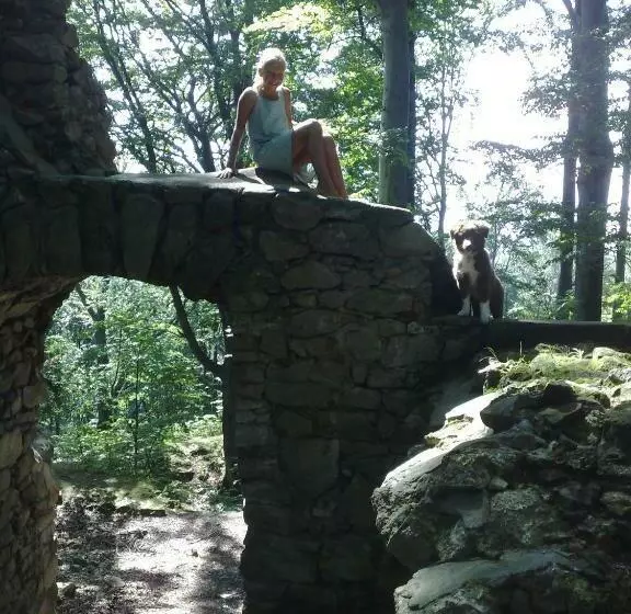 Hotelli Penzion Hradisko