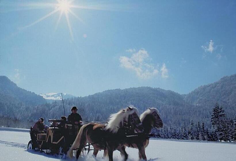 پانسیون Haus Romantika