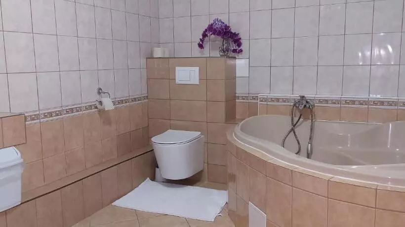 Majatalo Penzion U šelongů