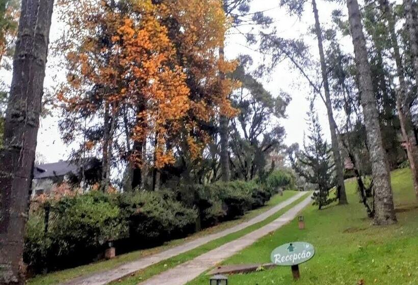 פנסיון Pousada Bucaneve