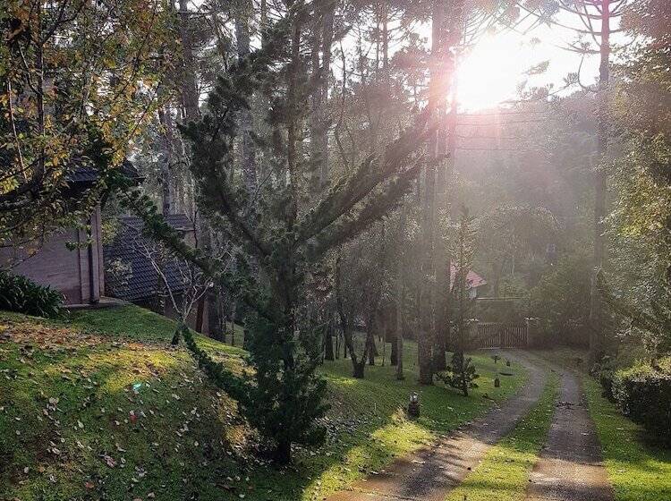 Pensionat Pousada Bucaneve