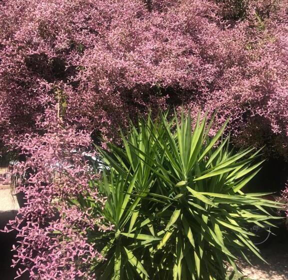 پانسیون Pousada Diamante