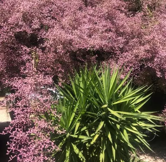 ペンション Pousada Diamante