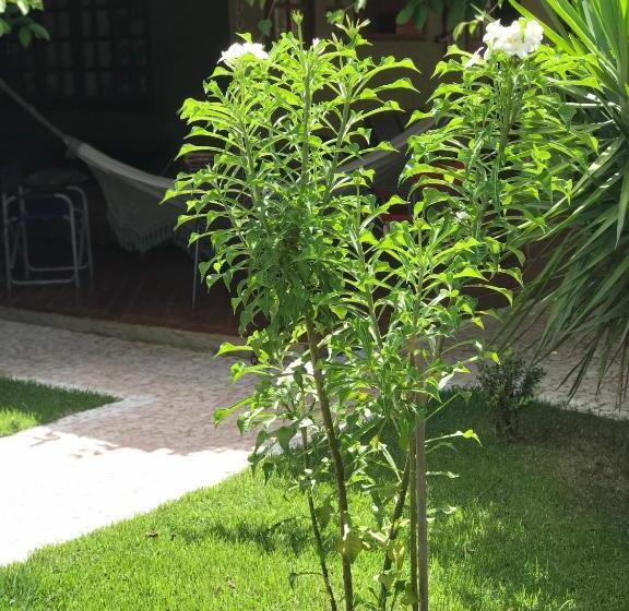 پانسیون Pousada Diamante