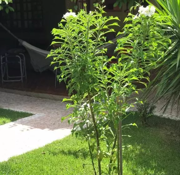 ペンション Pousada Diamante