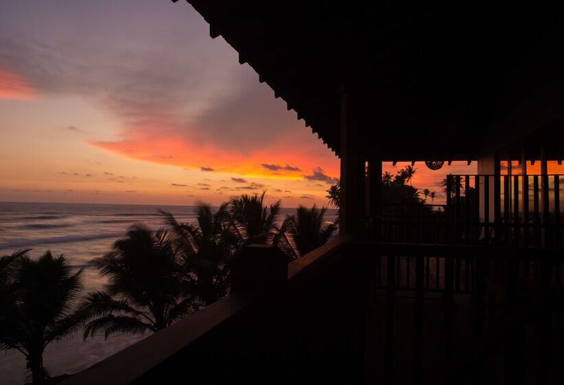 פנסיון Timeless Villa