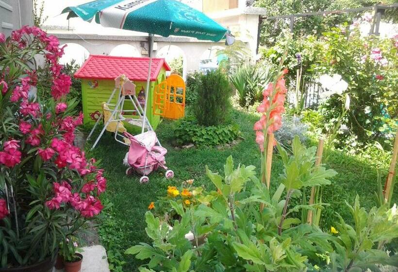 پانسیون Tonus Guest House