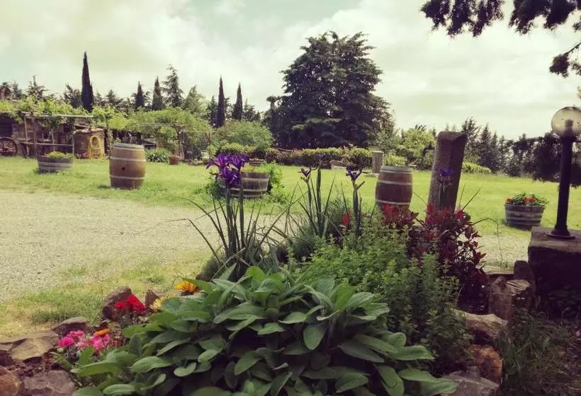 ホテル Agriturismo Il Cocco