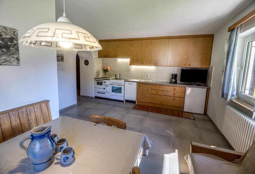 호텔 Appartments Neuhof