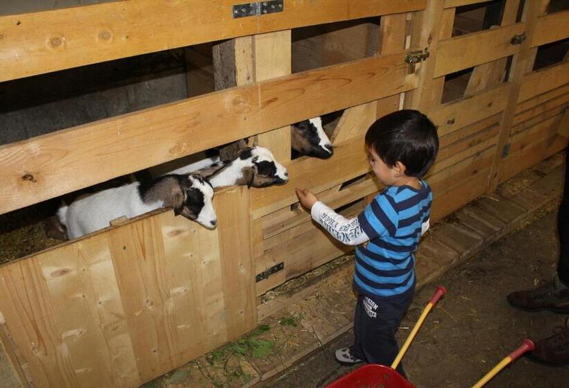 호텔 Appartments Neuhof