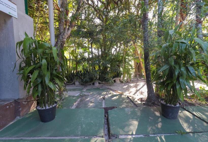 پانسیون A Ilha Verde Hotel Pousada Na Praia