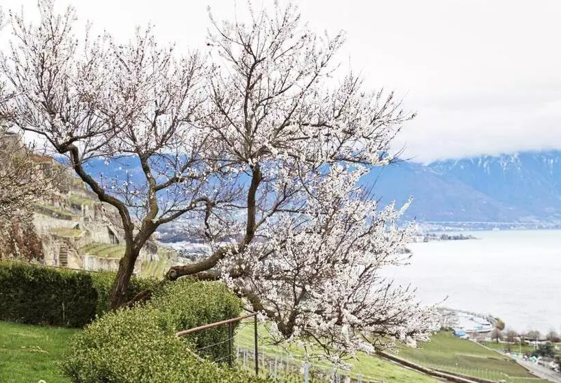ペンション Domaine Du Burignon