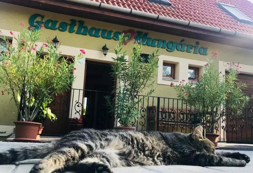 پانسیون Hungária Vendégház