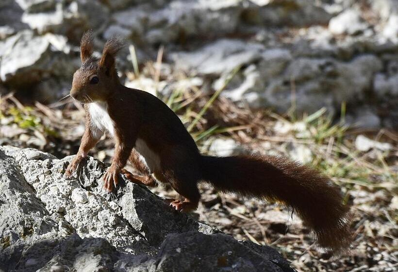 Пансион La Posada