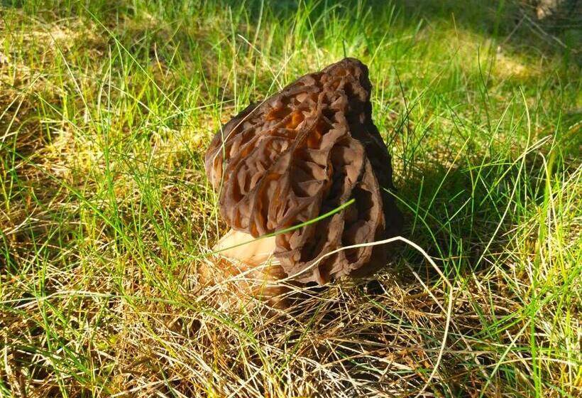 Пансион La Posada