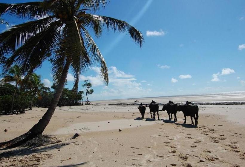 ペンション Pousada Asa Branca