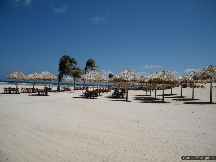 ペンション Pousada Asa Branca