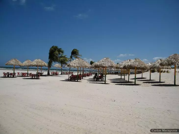 ペンション Pousada Asa Branca