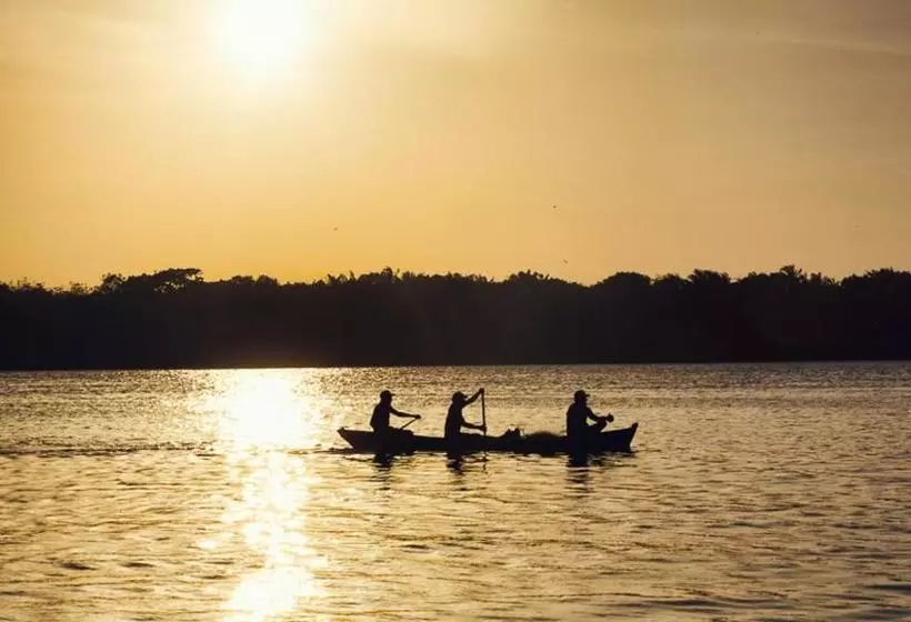 ペンション Pousada Asa Branca