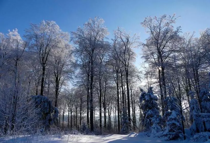 Pension Haus Am Walde